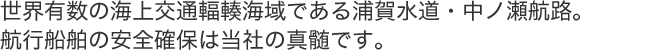 世界有数の海上交通輻輳海域である浦賀水道・中ノ瀬航路。航行船舶の安全確保は当社の真髄です。